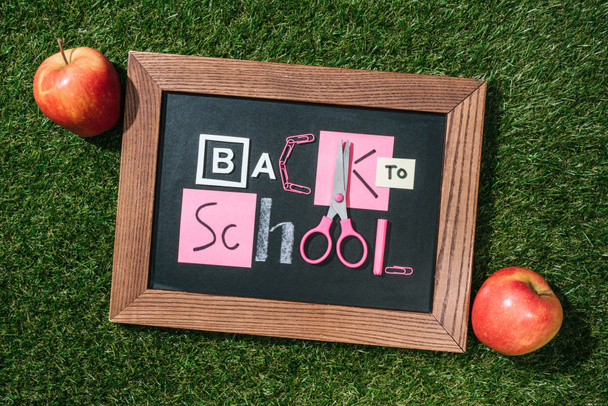 vista superior de maçãs frescas e quadro-negro com letras de volta à escola feitas de objetos rosa e branco no gramado verde
 - Foto, Imagem