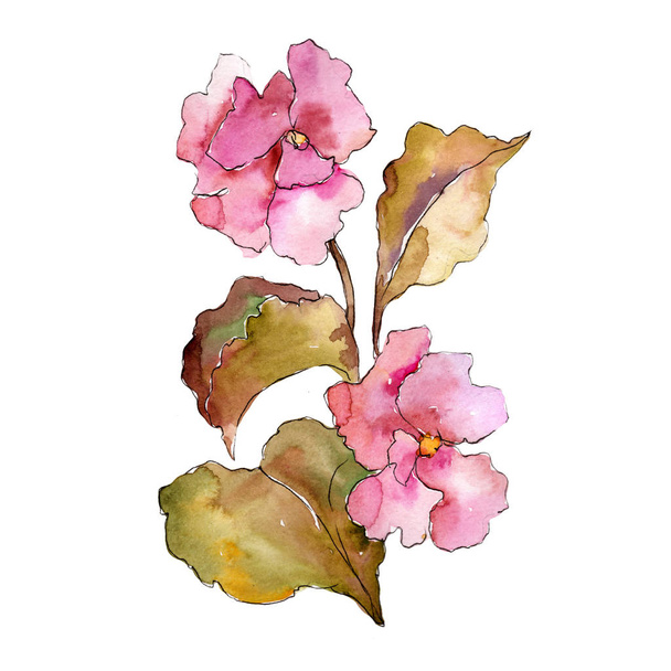 Rózsaszín gardenia. Virágos botanikai virág. Vad tavaszi levél vadvirág elszigetelt. A háttér textúra, burkoló minta, keret vagy határ Aquarelle vadvirág. - Fotó, kép
