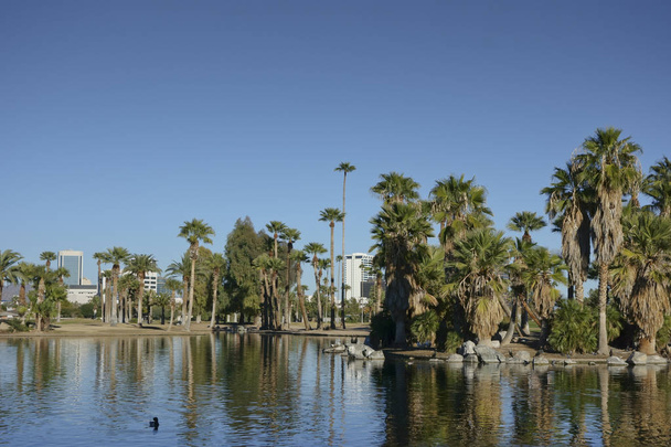 Στο κέντρο της πόλης του Phoenix όπως φαίνεται από το πάρκο Encanto, Αριζόνα - Φωτογραφία, εικόνα