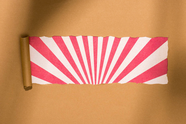 top view of blank ripped cardboard paper on colorful background  - Φωτογραφία, εικόνα
