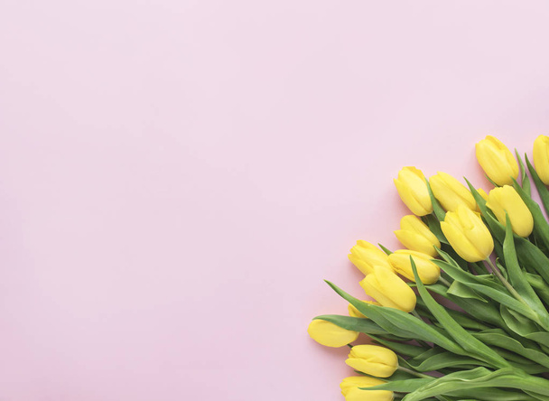 Spring flowers. Yellow tulip flowers bouquet isolated on pink background. Flat lay, top view. Minimal floral concept. Add your text. - Foto, immagini