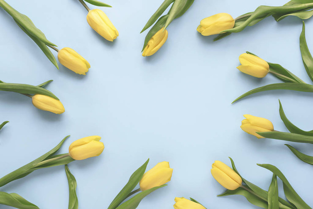 Spring flowers. Frame made of yellow tulip flowers on blue background. Flat lay, top view. Minimal floral mock up concept. Add your text. - Фото, изображение
