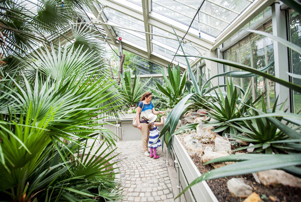 母と植物園の小さな女の子  - 写真・画像