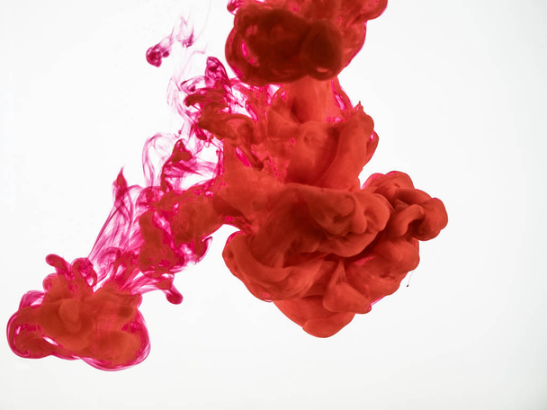 Acrylic red colour swirling under water on white background. Abstract movement of droplet of red ink in water. Red ink colour dissipation, abstract background. Red acrylic explosion in liquid. - Zdjęcie, obraz
