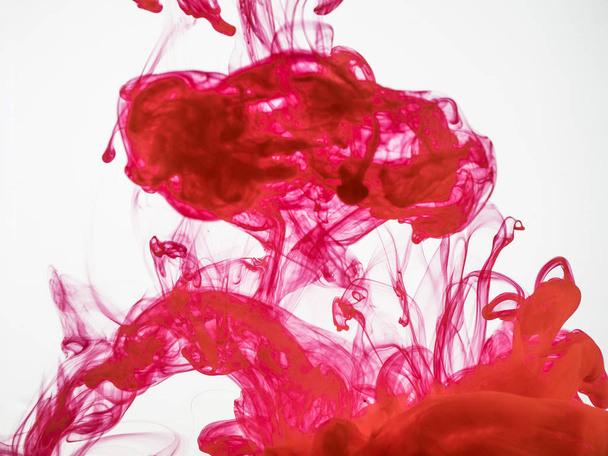 Abstract background of acrylic red ink explosion under water. Colourful red ink explosion background. Process of dissolving acrylic paint into water. Amazing abstract background. - Zdjęcie, obraz