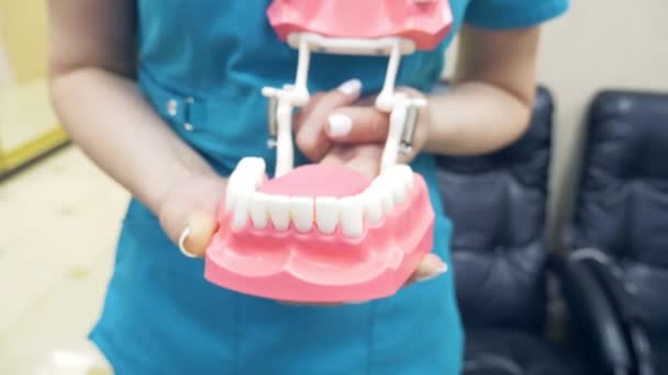 Der Zahnarzt zeigt die Struktur des Mundes anhand eines Modells des menschlichen Kiefers. 4k, Zeitlupe - Filmmaterial, Video
