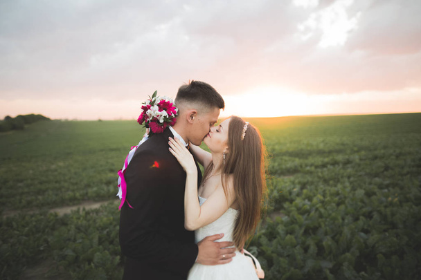 Wedding, Beautiful Romantic Bride and Groom Kissing  Embracing at Sunset - Photo, Image