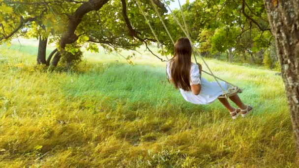Hermosa mujer balanceándose en un columpio y riendo en un parque de verano. Movimiento lento
. - Metraje, vídeo