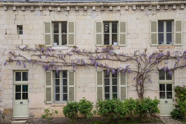 Tipik bir Fransız ev yeşil panjurlar ile büyüyen wisteria - Fotoğraf, Görsel