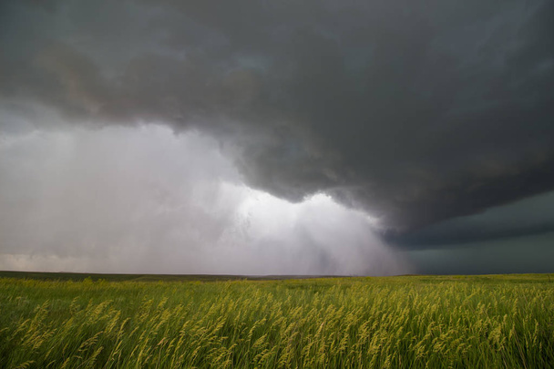 SuperCell onweer passeert een tarweveld, het vrijgeven van een stortvloed van regen en wind. - Foto, afbeelding