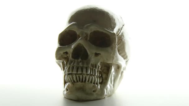 The skull on glow light background camera movement. - Footage, Video