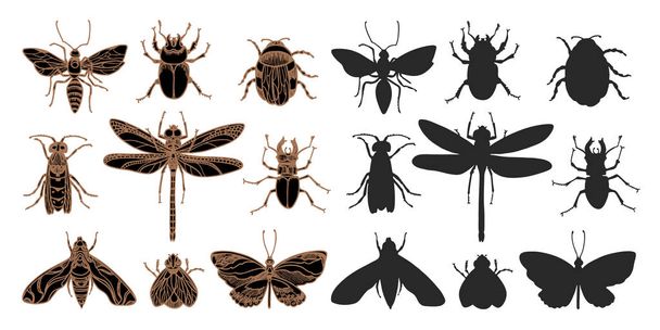 Vector sketch set of insect on white background Realistic silhouette symbol Shape elements for your nature design. Doodle illustration isolated for easy editing Real life Summer art line design Eps.10 - Vector, Image
