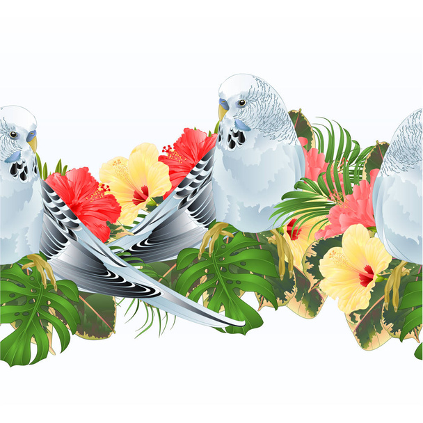 Granicy tropikalny tło papużka falista, niebieski parakeet pieścić i hibiscus wektor ilustracja do użycia w kompozycji, Dania, odzież, karty z pozdrowieniami, projektowanie wnętrz, opakowania - Wektor, obraz
