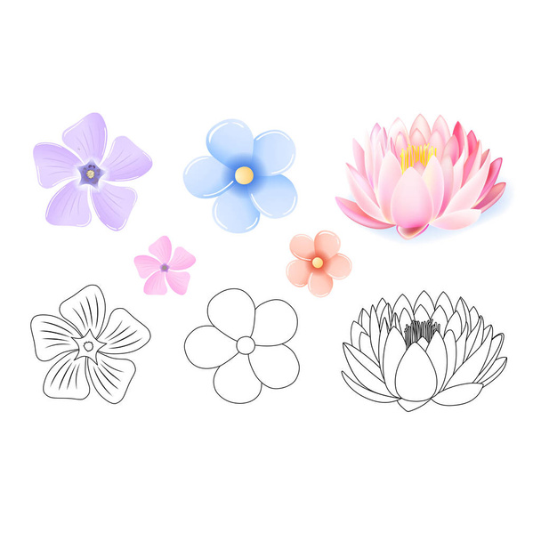 Pink lotus, periwinkle, forget-me-not pattern flower set isolated on white background (vector illustration) - Vector, Image