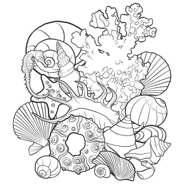vector background with seashells , hand drawn illustration, sea composition - Vettoriali, immagini