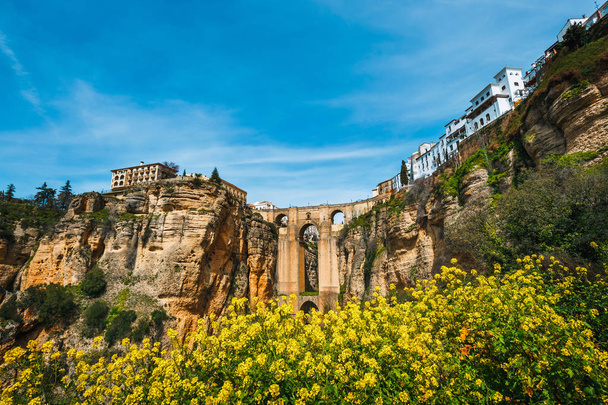 paisaje con la garganta del Tajo y el puente de piedra, Ronda, España
 - Foto, Imagen