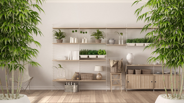 Zen belső cserepes bambusz növény, természetes lakberendezési koncepcióját, eco fehér szoba fa könyvespolc, polcrendszerek, függőleges kerti tároló relax fotel terület - Fotó, kép
