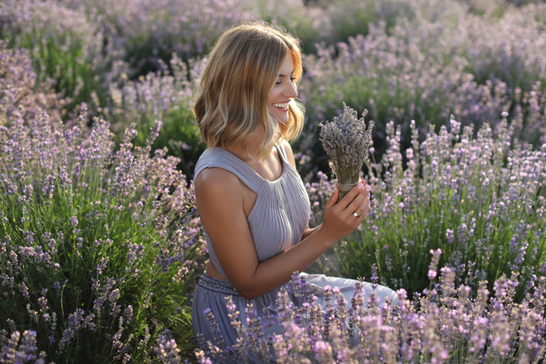 lavender - Photo, Image