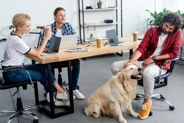 sonriente jóvenes mirando colega acariciando perro en oficina
 - Foto, Imagen