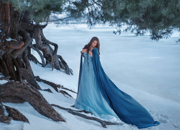 A mysterious wanderer in a luxurious dress and a blue cloak that flutters in the wind. On the background of a frozen river near the forest, old pocked pines, snow. Unreal winter landscape. - Fotó, kép