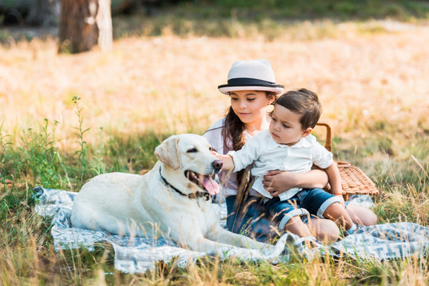Bruder und Schwester sitzen auf Decke mit Labrador-Hund - Foto, Bild