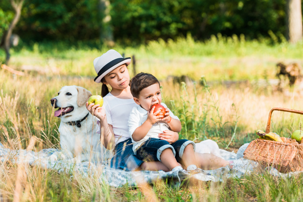 glückliche Geschwister sitzen auf einer Decke beim Picknick und essen Äpfel - Foto, Bild
