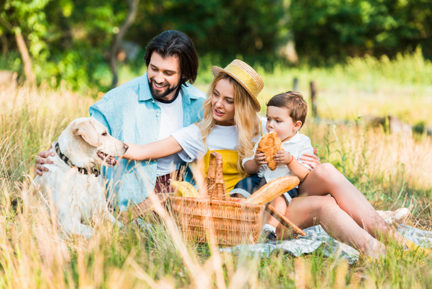 padres e hijo sentado en la manta en el picnic y palmera perro
 - Foto, Imagen