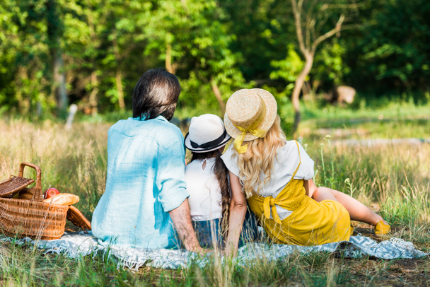 back view of parents and daughter sitting on blanket at picnic - Fotoğraf, Görsel