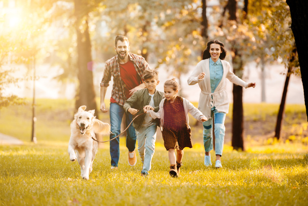 сміється сім'я біжить з собакою на лузі в парку з встановленням сонця позаду
 - Фото, зображення