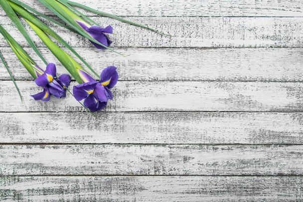 vista superior de hermosas flores de iris sobre mesa de madera gris
 - Foto, Imagen