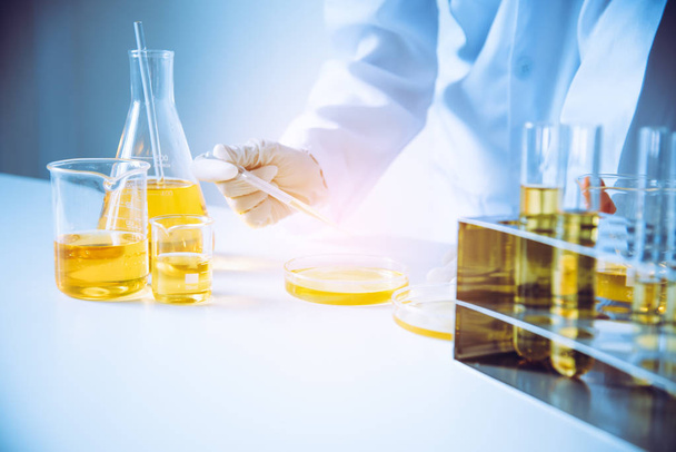  Attrezzature ed esperimenti scientifici Scienziato che versa olio con provetta gialla facendo ricerca in laboratorio
. - Foto, immagini
