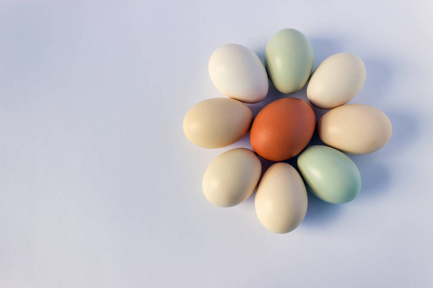 Барвисті пастельні яйця на білому тлі. Концепція - здорове харчування, органічні продукти, сільськогосподарські продукти. Копіювати простір
. - Фото, зображення