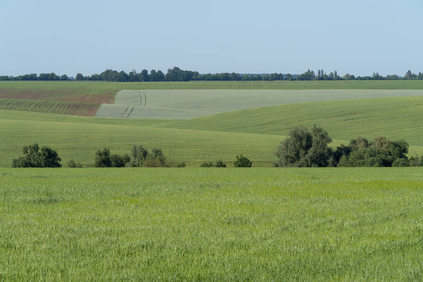 Spring agricultural landscape, Podilski Tovtry National nature park, Podolia region of Ukraine - Photo, image