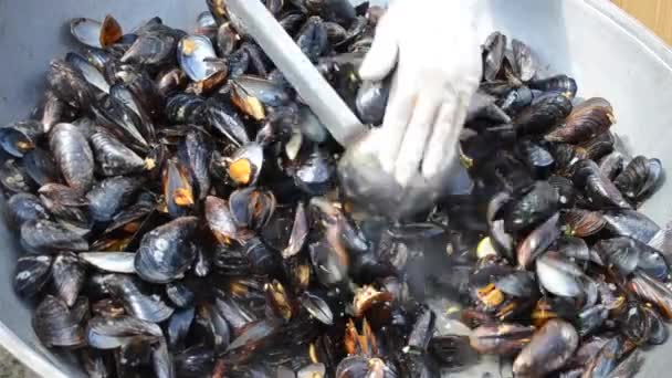 Προετοιμασία της Μαύρης Θάλασσας μύδια - Πλάνα, βίντεο