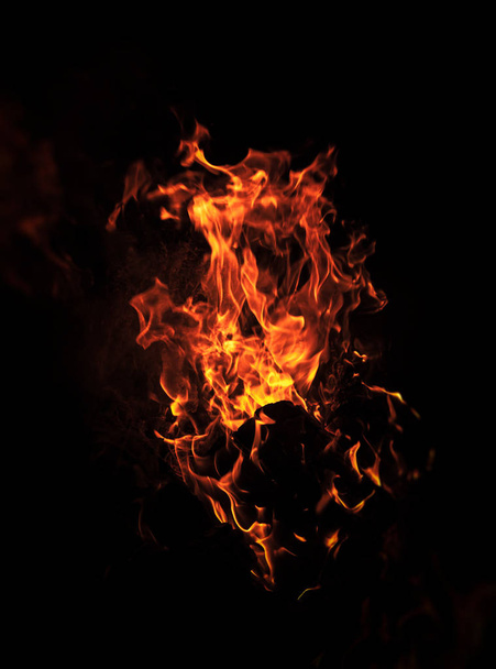 夜の焚き火。黒の背景に火炎 - 写真・画像