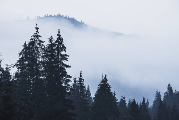Misty mountain landscape - Foto, Bild