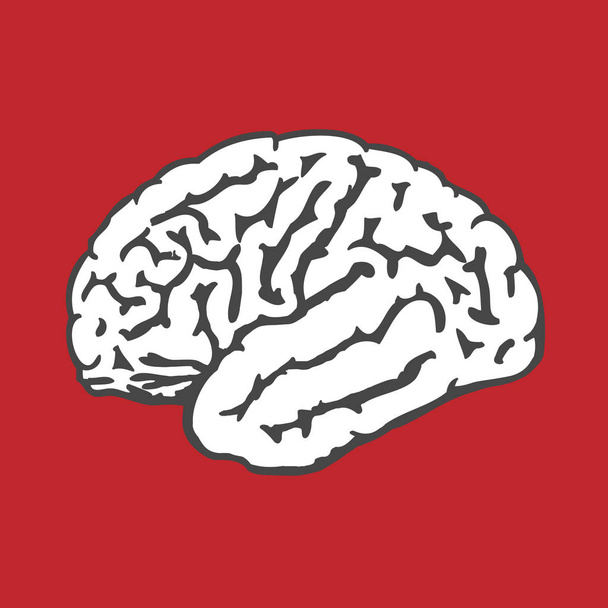 Icono del cerebro humano - inteligencia y concepto de CI
 - Vector, imagen