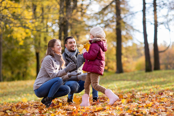 happy family with maple leaves at autumn park - 写真・画像