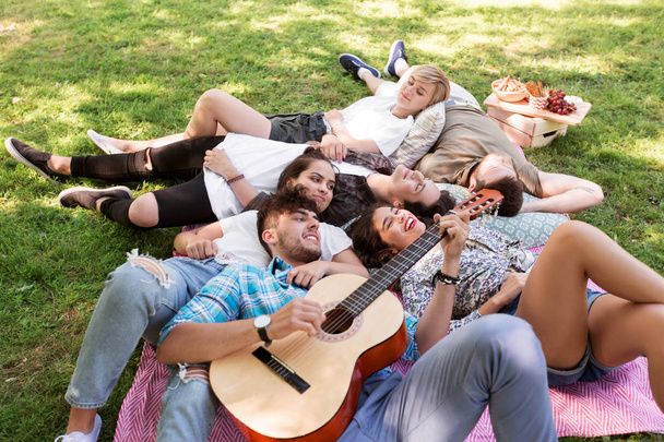 friends with guitar chilling on picnic blanket - Фото, изображение