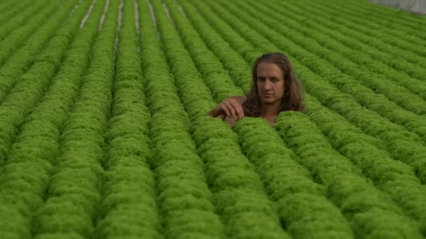 Vegan νεαρό άνδρα με μακριά μαλλιά βρίσκεται σε σαλάτες, χάδια σαλάτα - Πλάνα, βίντεο