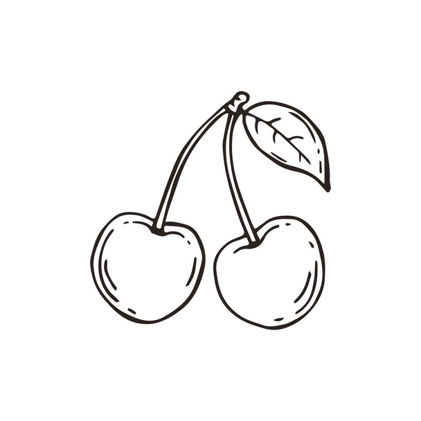 Sketch of cherry. Vector illustration. - Vetor, Imagem