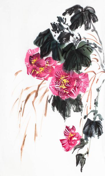 bright hibiscus flower - 写真・画像