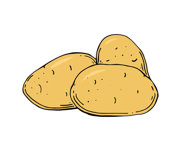Φυτικά τρόφιμα φυσικά βιολογικά πατάτες. Εικονογράφηση διάνυσμα. Χέρι - Διάνυσμα, εικόνα