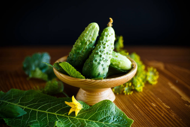fresh green cucumbers on a wooden table - Fotoğraf, Görsel