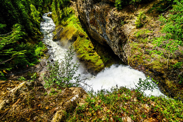 Blick auf Moorhuhn Bach nach Moul fällt von der Spitze der Wasserfälle in Brunnen grau Provinzpark bei klarem Wasser, britische Columbia, Kanada - Foto, Bild