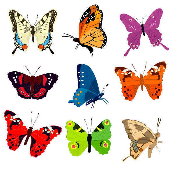 Cute colorful butterflies - Vector, Image
