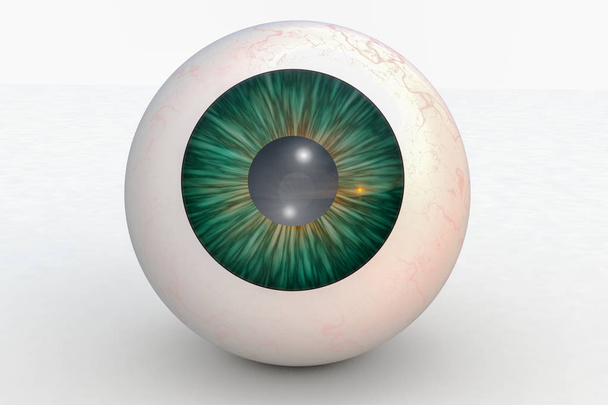 un globe oculaire devant un fond isolé (rendu 3d
) - Photo, image