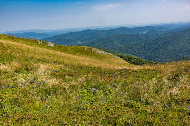 una vista desde el pico de polonina Wetlinska. Montaña Bieszczady
 - Foto, imagen