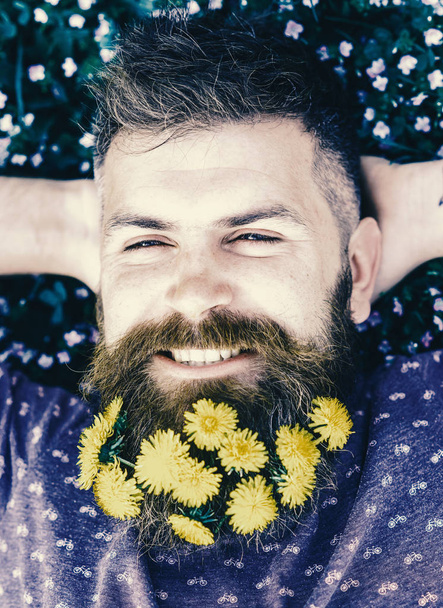 Guy with dandelions in beard relaxing, top view. Breeziness concept. Man with beard on smiling face put hands behind head. Bearded man with dandelion flowers in beard lay on meadow, grass background - Zdjęcie, obraz