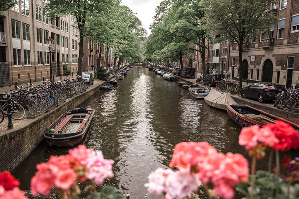 Kanał Amsterdam, widok z mostu z kwiatami. Holandia - Zdjęcie, obraz